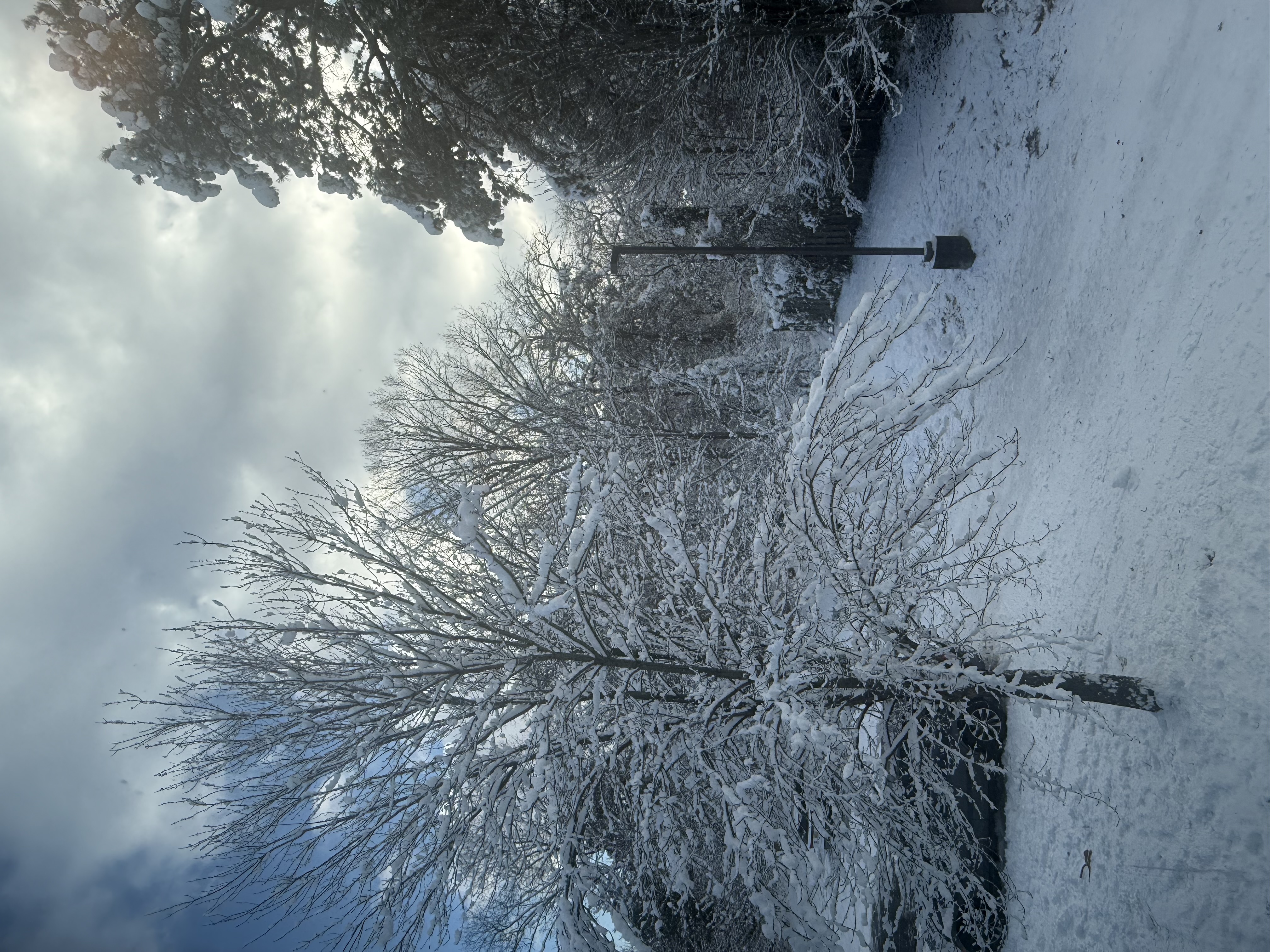 IMG_1196.jpeg