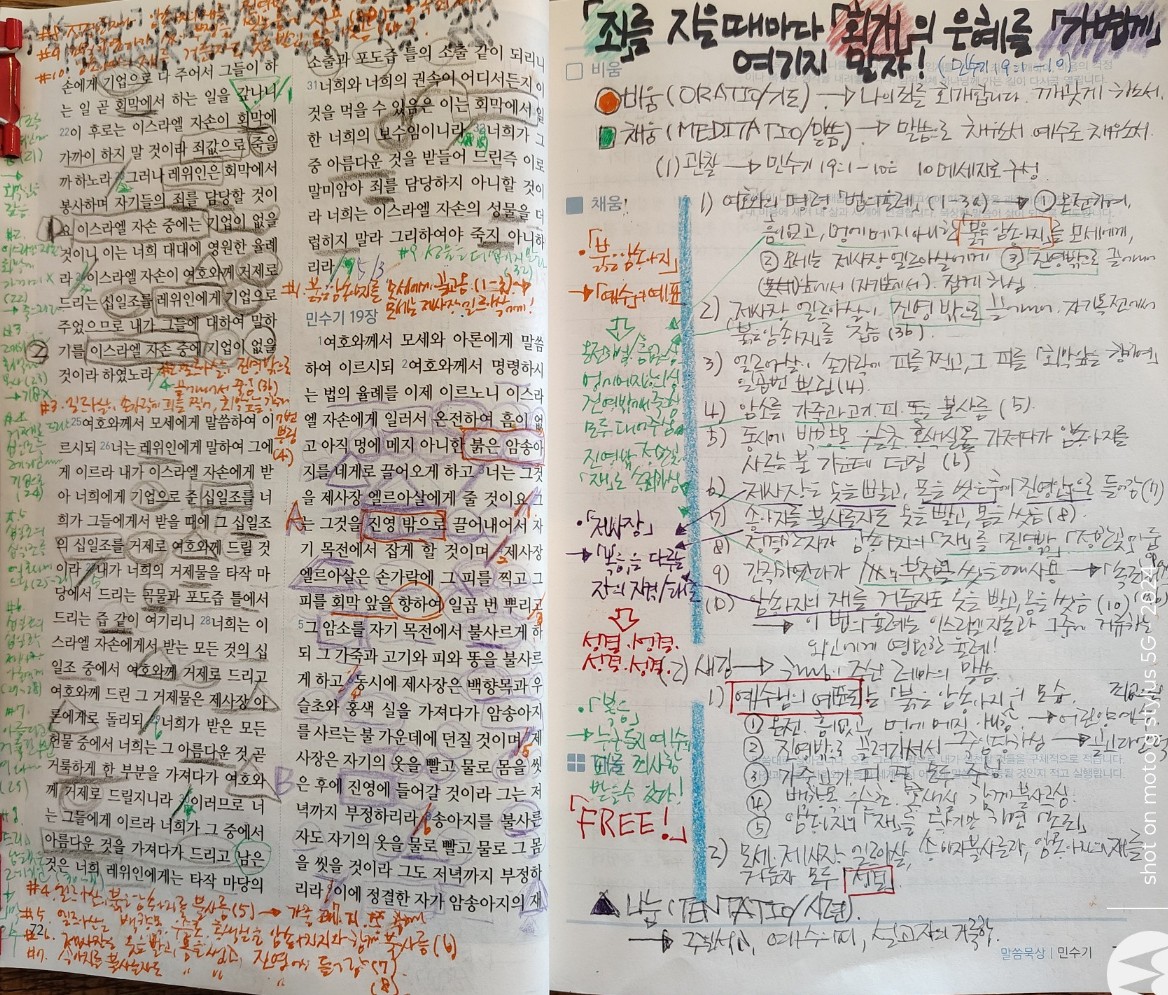 민수기 19장 1절부터 10절까지.jpg