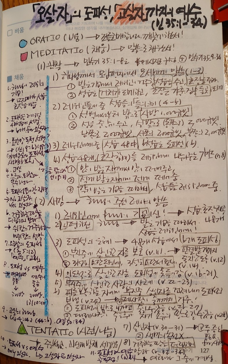 민수기 35장 1절부터 34절까지.jpg